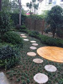 打造理想庭院 上海園林景觀施工與改造的專業實踐